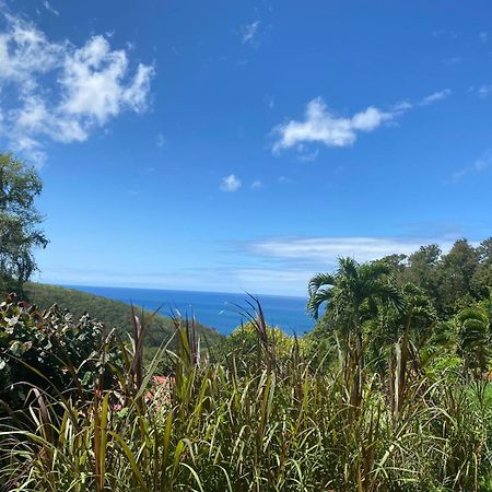 Le Domaine Du Rocher Noir Pointe-Noire Bagian luar foto