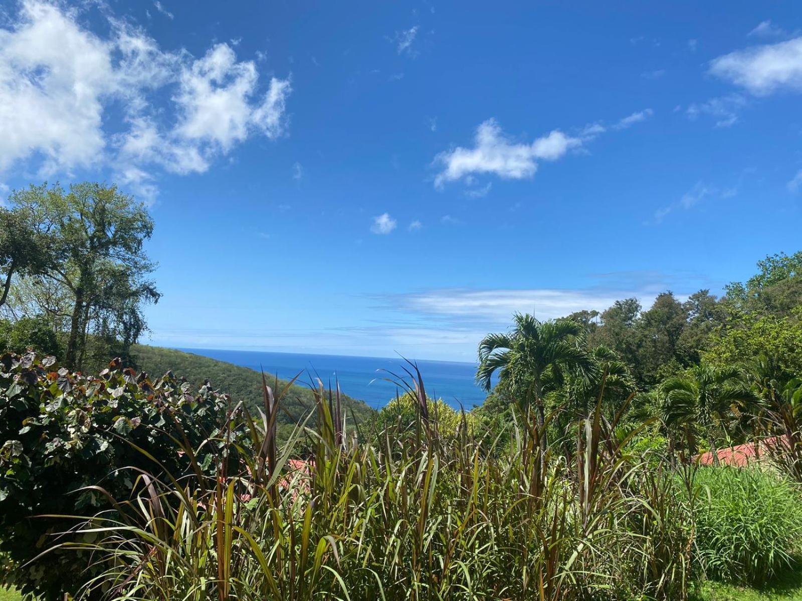 Le Domaine Du Rocher Noir Pointe-Noire Bagian luar foto