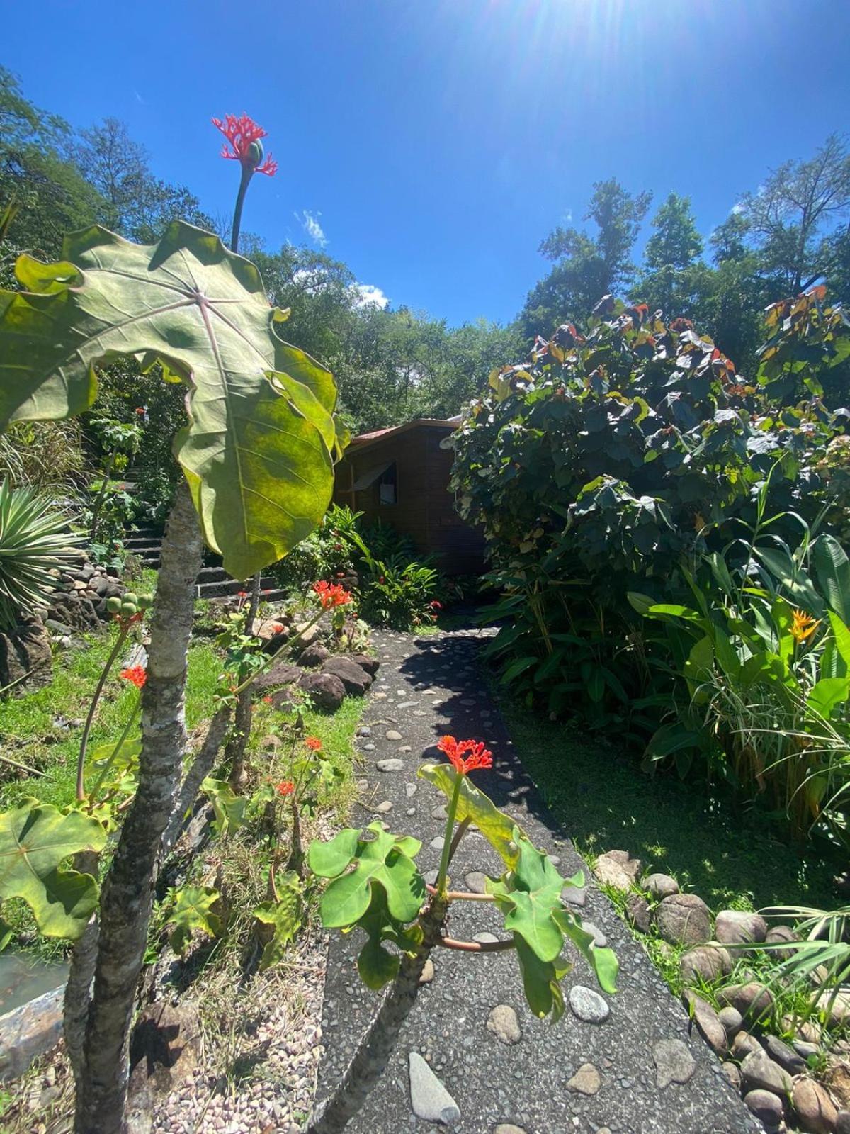 Le Domaine Du Rocher Noir Pointe-Noire Bagian luar foto
